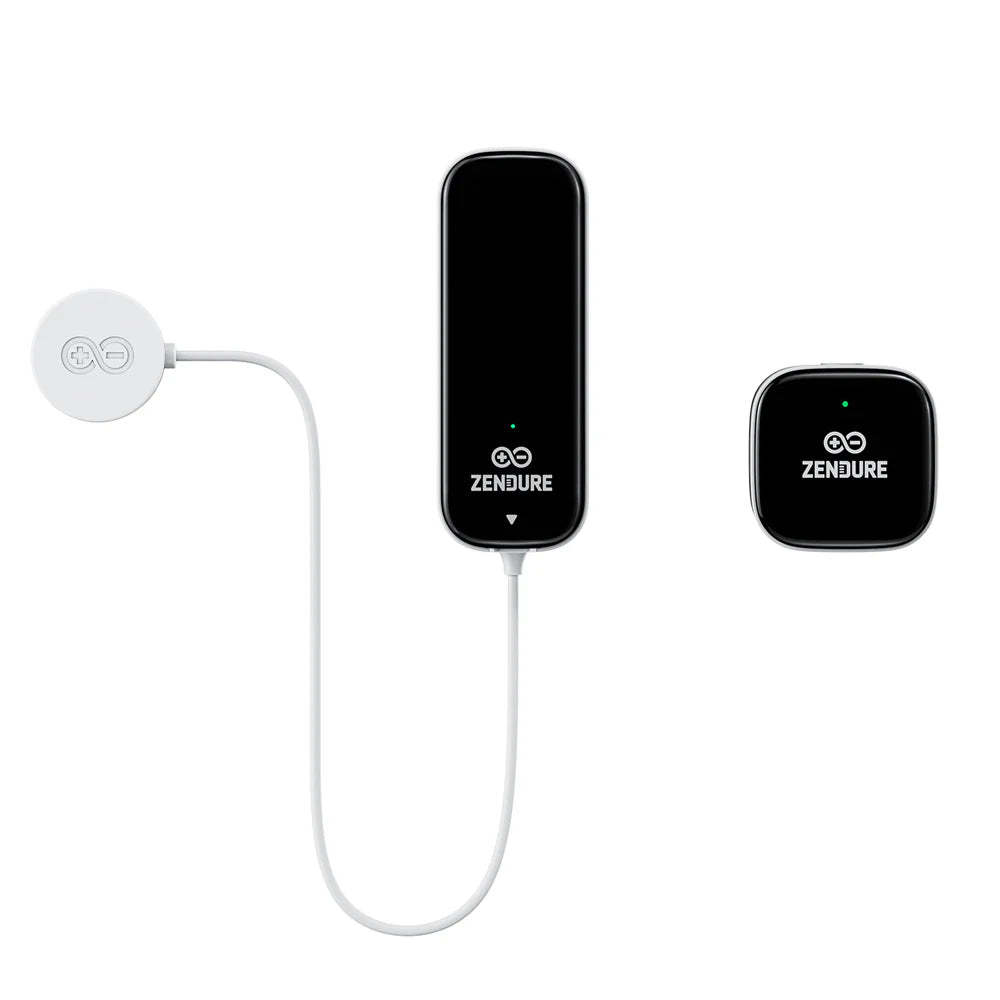 Zendure Smartmeter D0